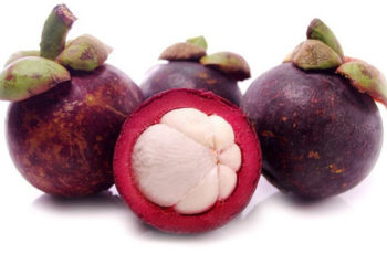 Mangostin, uma das melhores frutas do mundo