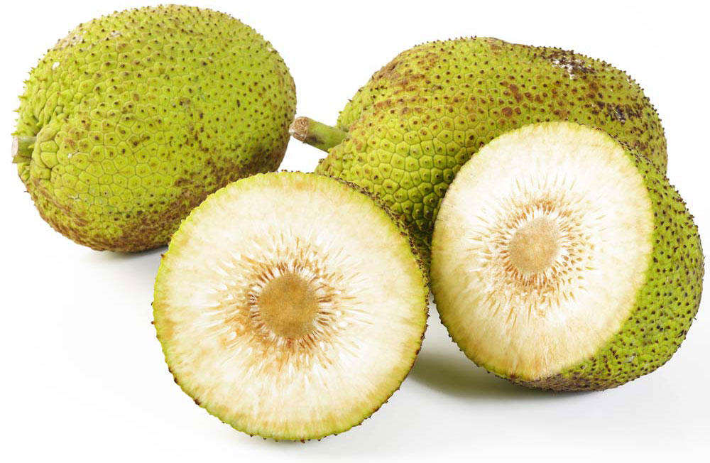 fruta pão fruta pão
