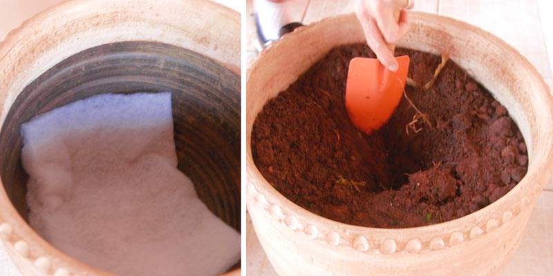 Preparando o Vaso