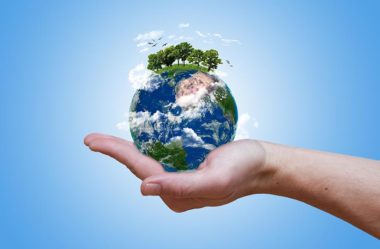 Biodiversidade ou Diversidade Biológica