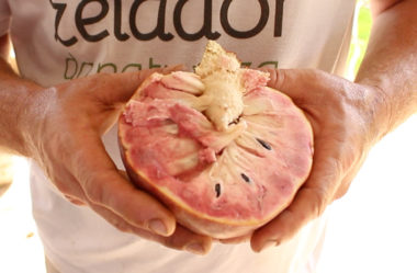 Pinha, fruta o conde, araticum ou atemóia? Conheça um pouco sobre a família das Annonas