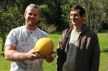 Projeto Colecionando Frutas: uma visita inesquecível