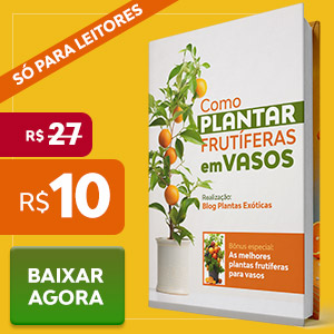 Como Plantar Frutíferas em Vasos