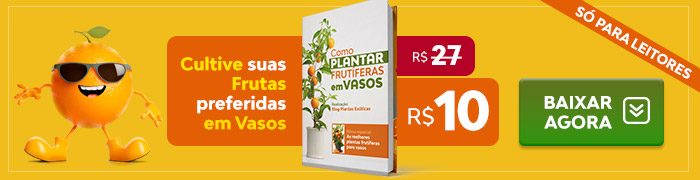 Ebook Como plantar frutas em Vasos